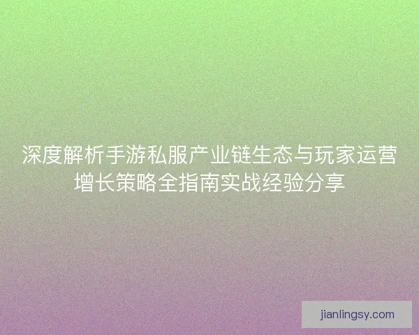 深度解析手游私服产业链生态与玩家运营增长策略全指南实战经验分享